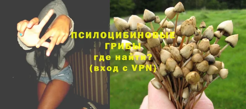 Галлюциногенные грибы Magic Shrooms  Аркадак 